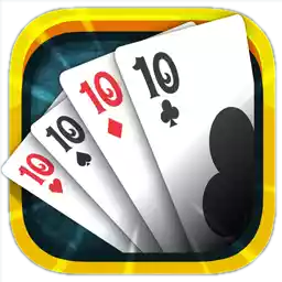 pasur-icon